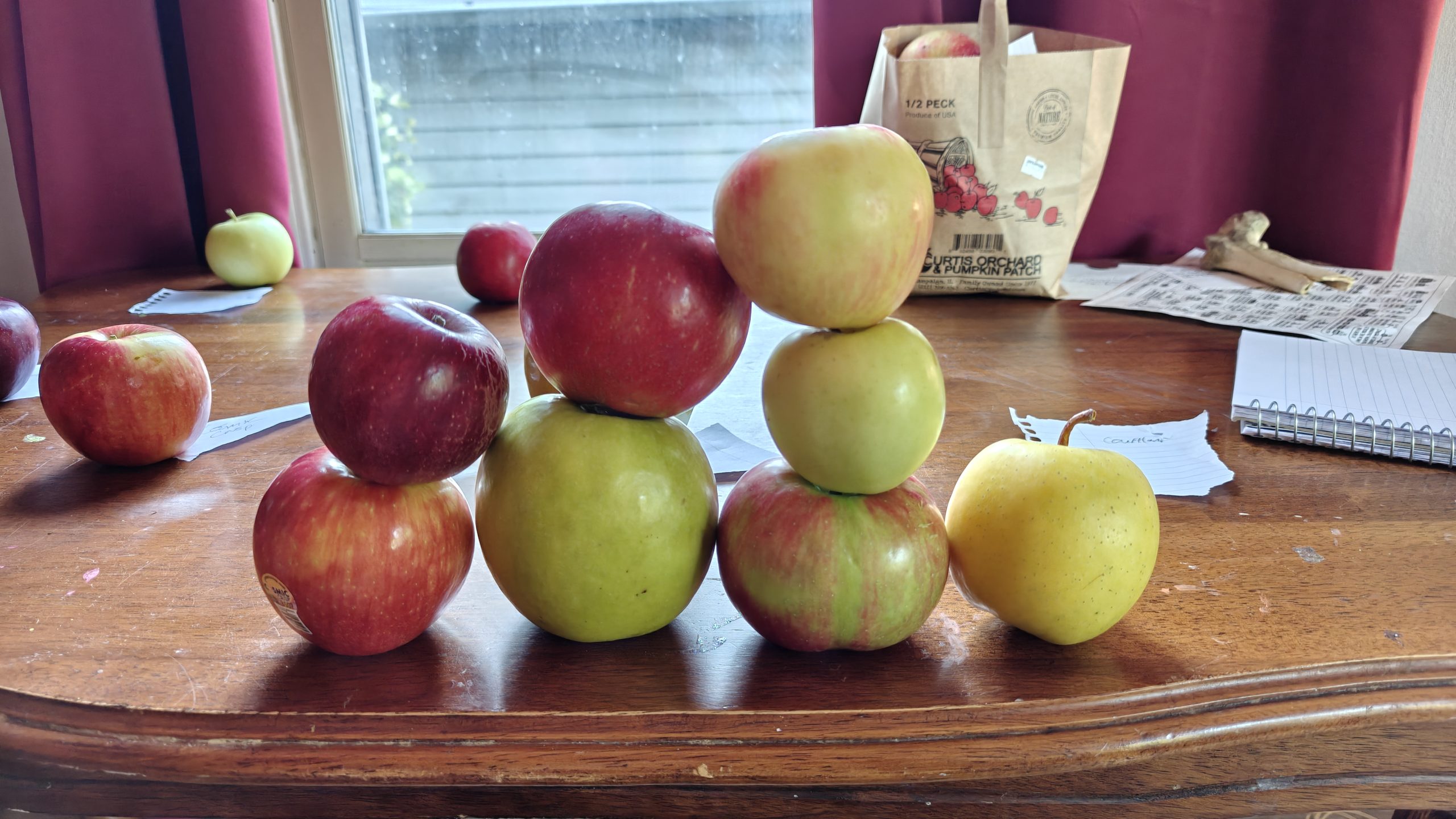 Apple Taste Test